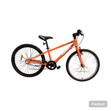 Giant Veer Bike - 24
